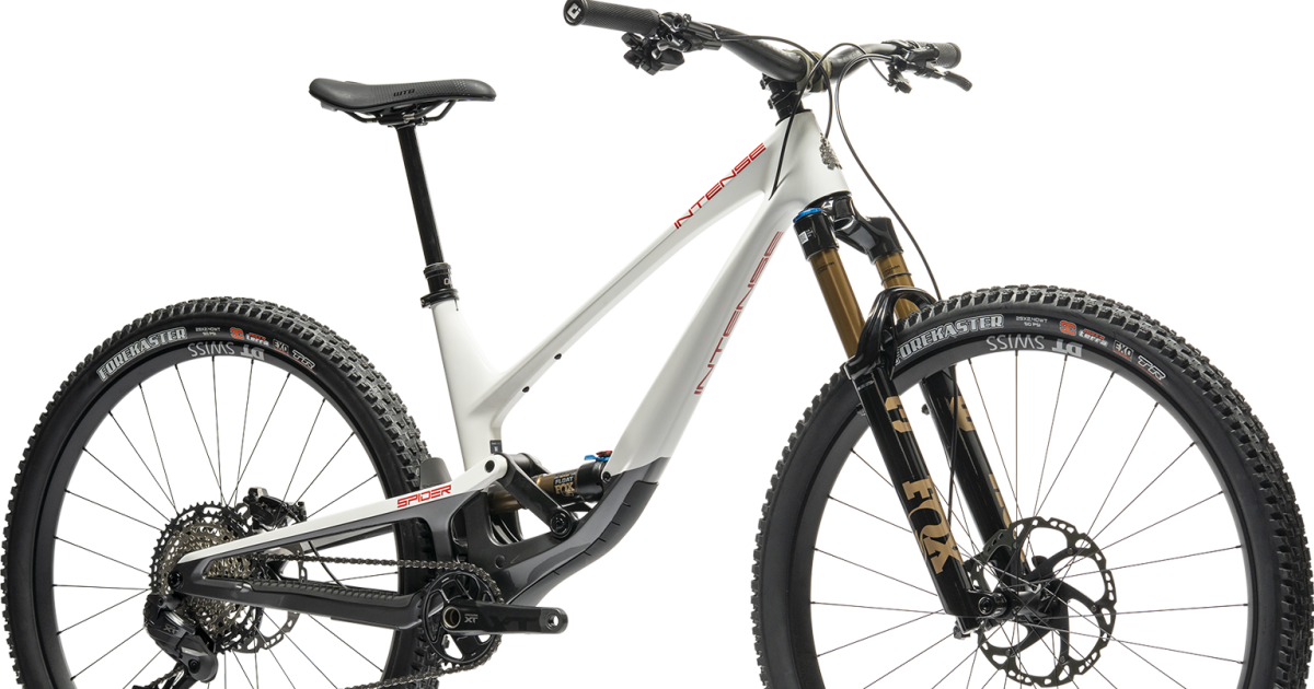 Build Your Dream Bike: The Intense Spider 130mm