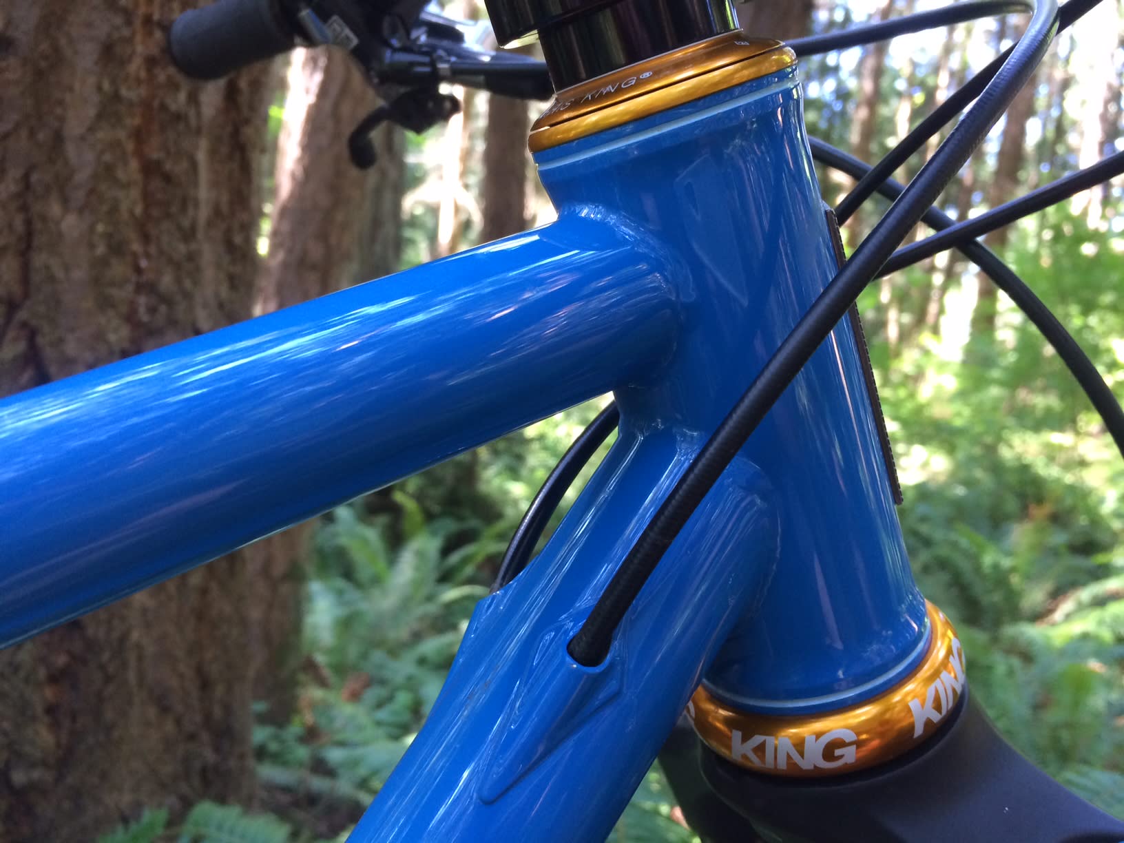 Preview: Breadwinner Cycles' Bad Otis - BikeMag