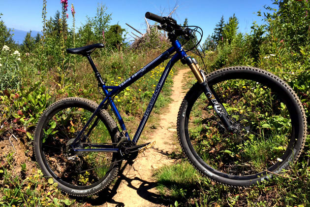 ☆Transition TransAM 29マウンテンバイクフレーム Transition TransAm – Cyclepath PDX