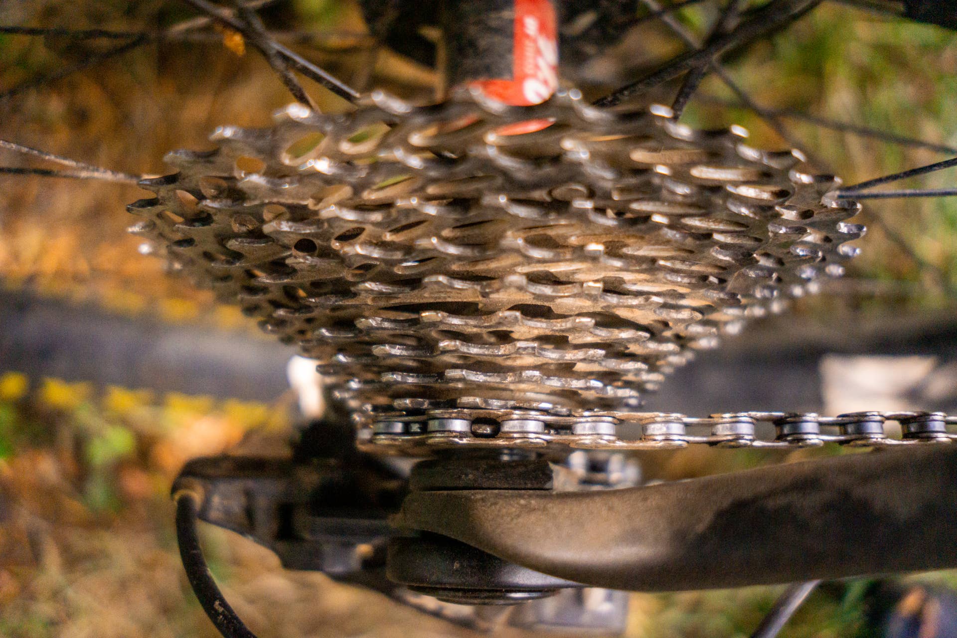 How to Mountain Bike: Ultimate Beginner’s Guide with Step-by-Step ...