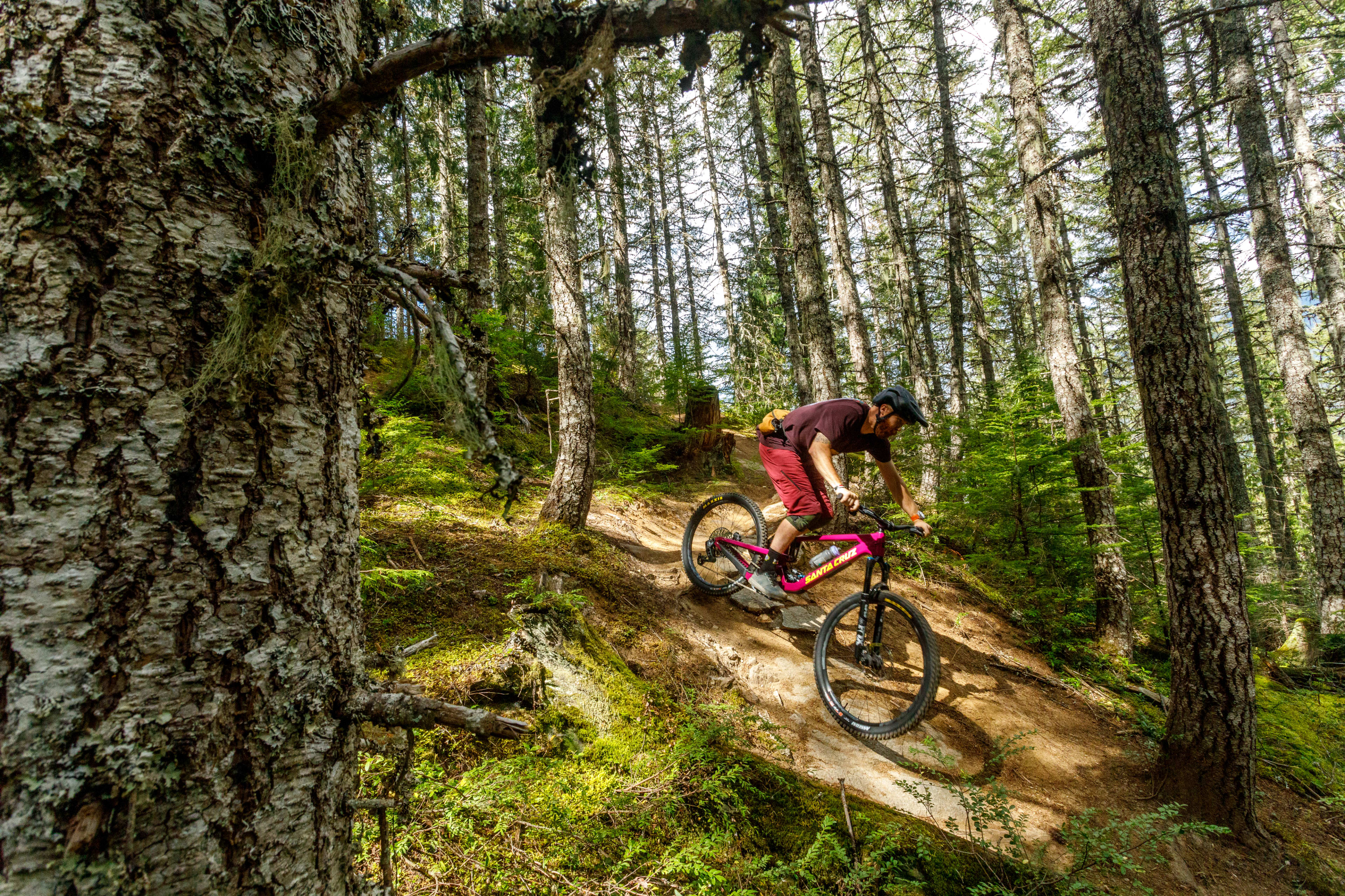 Review: Santa Cruz New Bronson Trail Bike 2024, Tested - BikeMag