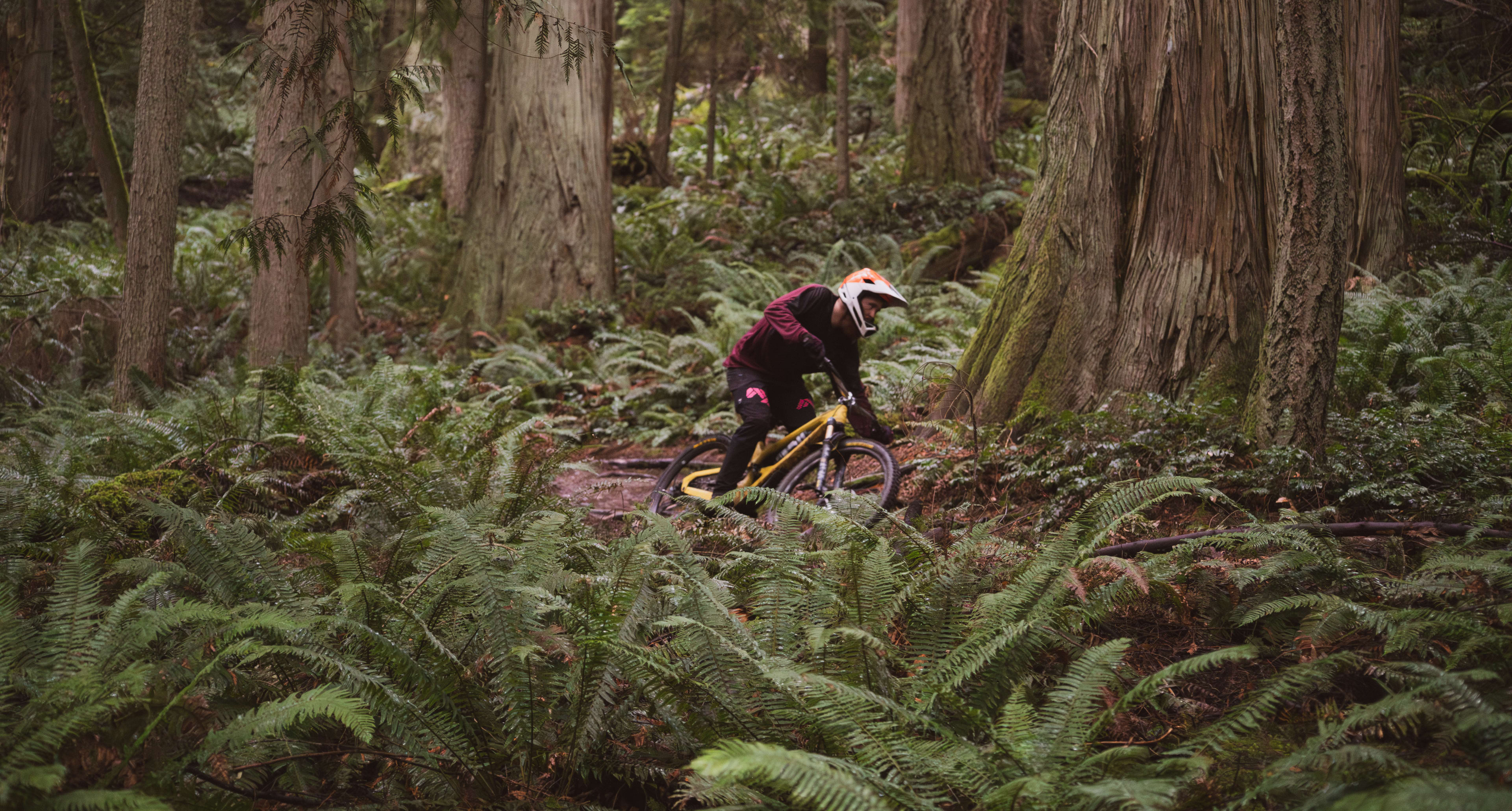 Lazer Jackal Kineticore Helmet – The Path Bike Shop, image size:3840x2061