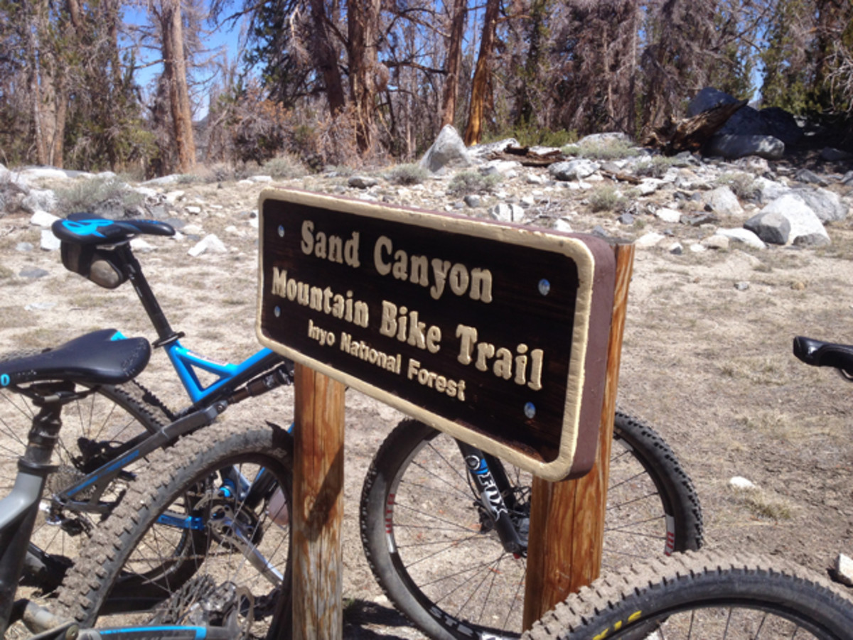 A designated mountain-bike trail, a rare sight in the National Forest. This one is actually open to off-road vehicles as well, but you won't run into much company out here. | Photo: Nicole Formosa