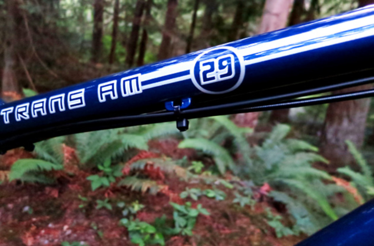 Steel is real....Transition builds the TransAM 29 out of 4130 chromoly, but also gave it quite a few contemporary touches, including the 44-mm headtube, 30.9 seattube (a size that makes getting a dropper post installed quite easy) and the ISCG tabs for chainguides.