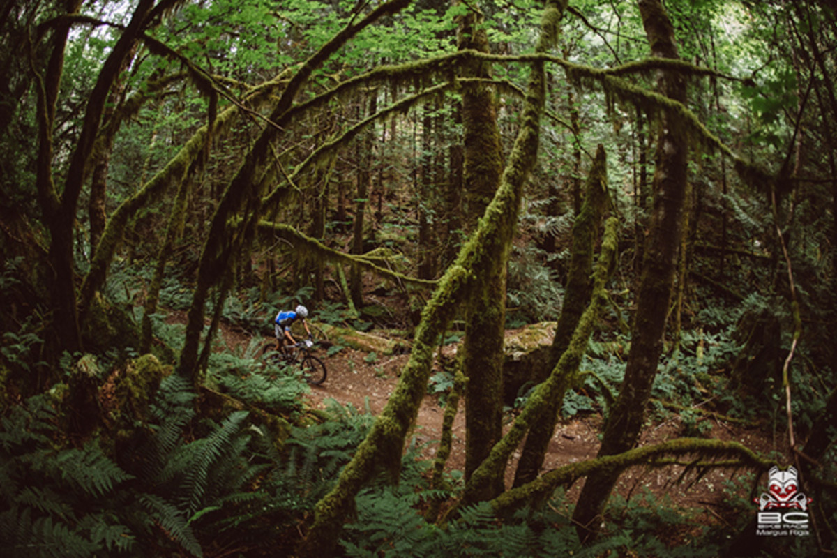 Rainforest electric green surrounds riders throughout the day. | Photo by Margus Riga