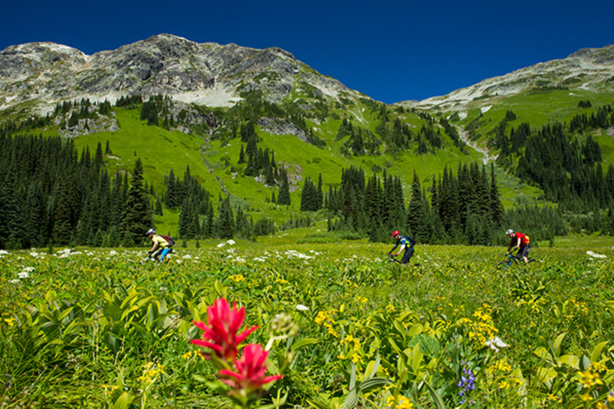 Midway through the descent, the steep slopes gave way to a sprawling alpine meadow, and the promise of all the descending ahead didn't stop NSMB's Pete Roggeman and the author from cruising along to enjoy the daffodils.