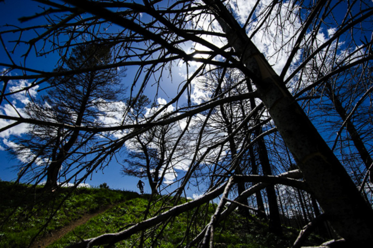 Earlier this spring, I ventured away from home and went on a short trip to Jackson, Wyoming. Getting our legs under us after a long ski season, the boys and I enjoyed a few days of amazing spring weather and some great trails. Riding and shooting on new trails always gets me inspired. I love how the chaos of the branches all comes together somehow and frames the rider perfectly. Rider: Nick Quinn. Location: Jackson, Wyoming. Photo courtesy of Bruno Long