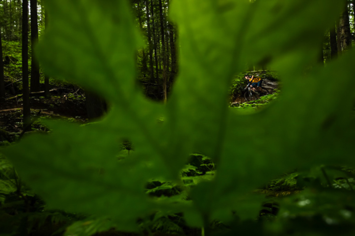 I think my favorite thing about shooting in the forest near my home is the opportunity to use the forest greenery to frame my subjects. This spot has always piqued my interest, and I have walked around it numerous times, looking for creative angles. I discovered a grove of Devil's Club (a large plant covered in thorns that get stuck in your skin and fester into annoying sores) and noticed one in particular that had some large holes in it. I came back a few days later with a friend to shoot it. It was the perfect spot for a small flash, which could easily be hidden behind a leaf. We tried a few shots and this was my favorite from that day. Rider: Callum Mcleary. Location: Mt. Macpherson, Revelstoke, British Columbia. Photo courtesy of Bruno Long