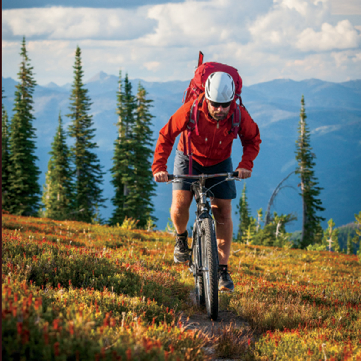 According to the Wilderness Act, it's illegal to be in possession of a bicycle within a Wilderness area, but Greene posits an interesting question: