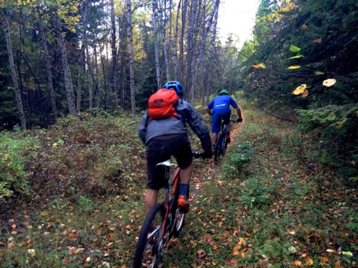 There was a distinctly gamey flavor to these trails, but they were not without their sublime moments. Think deep woods, quiet climbs and aggressive, to-the-point descents.
