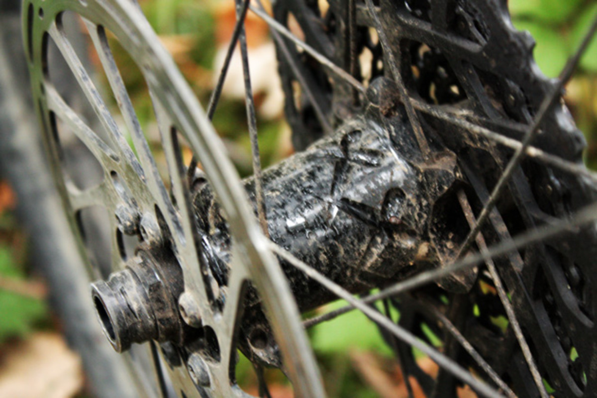 The first generation M1 hubs weren't awesome--Easton has long since updated them and they're now nearly maintenance free. They're also easily converted from one axle standard to the next.