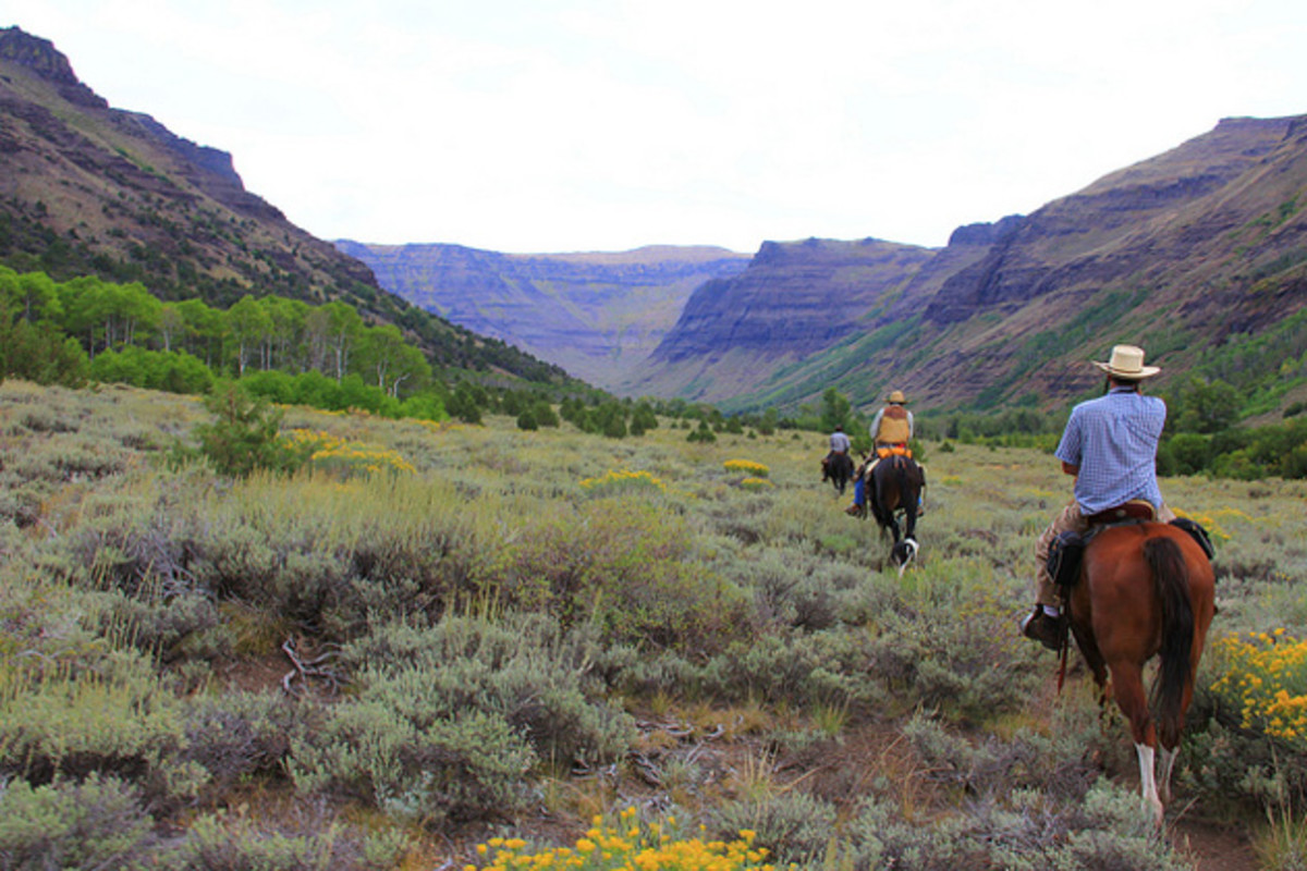 Riding your horse off trail in wilderness? Sure thing! Why not? That's good for the environment, right? Horseback riders enjoy some BLM-managed wilderness in Oregon. Must be awesome...