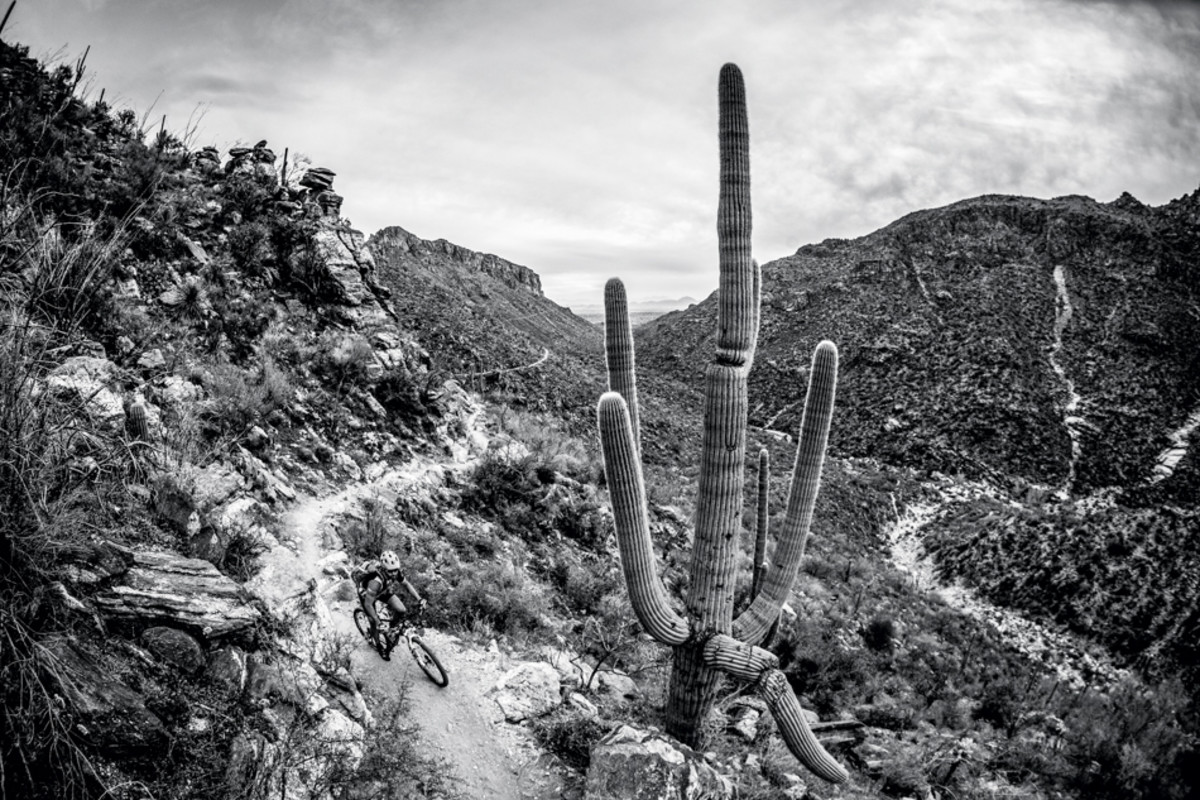 Tucson MTB