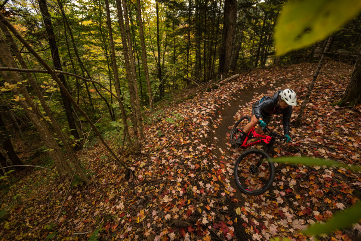 Kingdom trails bike sales shop