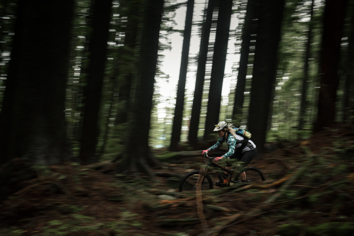 diamondback woodland bike