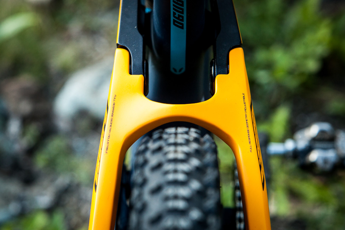 Devinci Django 29